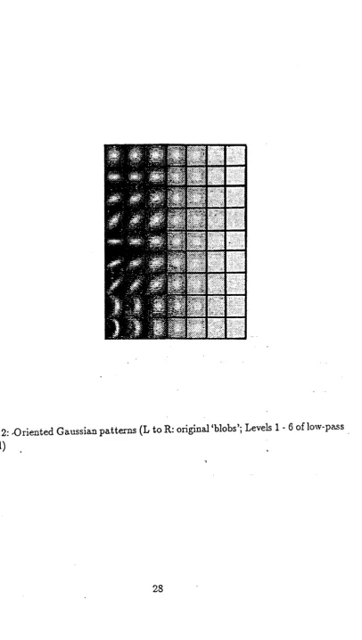 Figure 12: patterns (L to R: original'blobs'; Levels 1 - Orieated 6 of lorv-passGaussian pyramid)