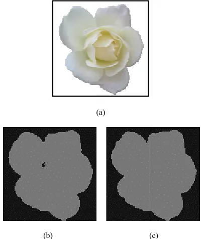 Fig. 4. Segmentation results on realreal images by the proposed algorithm 