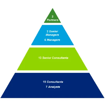 Figure 11 - Hierarchical structure for the Incentives Division 