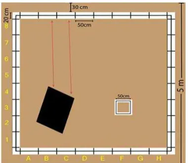 Figure 3. Ultrasonic motion adjustment. 