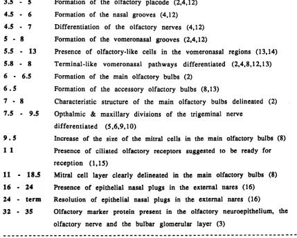TABLE 1; Pre-natal optogeny of nasal cbemoreceptors in bumans (adapted from Scbaal. 1988a) 