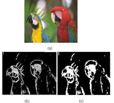 Fig 4. Histogram plots of reference image (a); Horizontal (b); Vertical (c) 