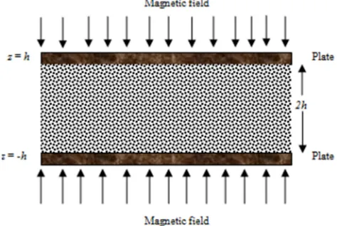 Figure 1. Model of the squeezing flow of nanofluid under transverse uniform magnetic field