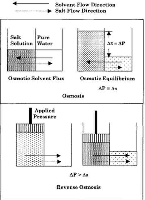 Figure 2. Osmosis and reverse osmosis processes. 