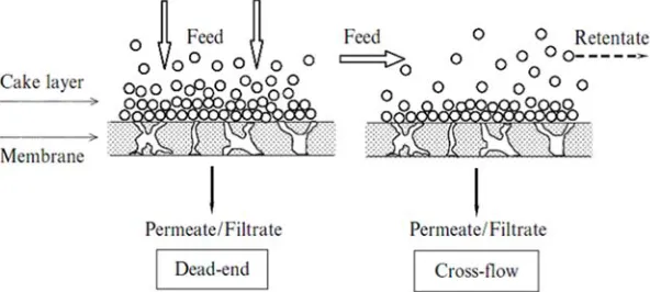 Figure 5. Schematics of dead-end and cross-flow filtrations. 