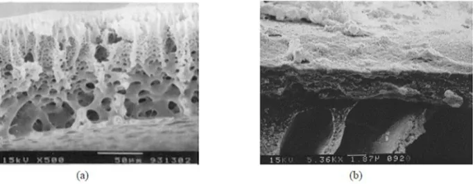 Figure 6. SEM for top surfaces of a) a phase inversion membrane [10], b) a track-etched membrane [10], and c) an expanded film [11]