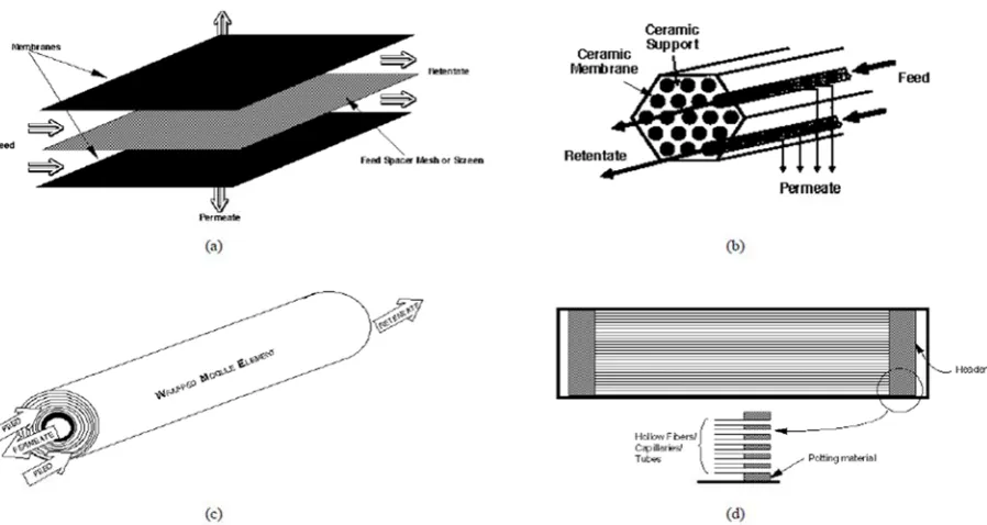 Figure 8. SEM image of hollow fiber cross-section [14]. 