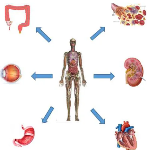 Figure 1. Applications of micro-robots in different organs of the patient's body. 