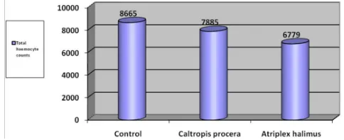 Figure 1. Effects of LC25 of extract of Caltropis procera and Atriplex halimus on total haemocyte counts of Spodoptera littoralis