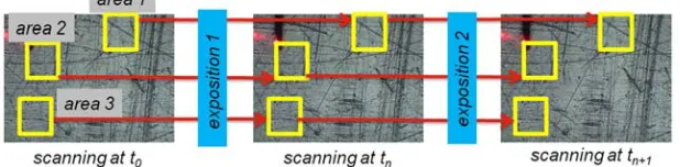 Figure 1. The idea of the utilization of continuous observation of the roughness changes of selected set of areas while the cyclic exposition to media is performed