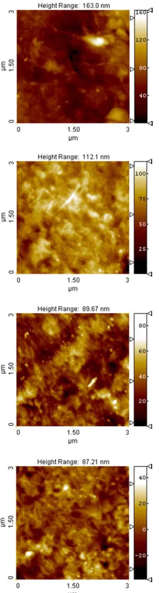Figure 2. The examples of the polyethylene/MMT surface AFM scans illustrating the morphology diversity within single sample