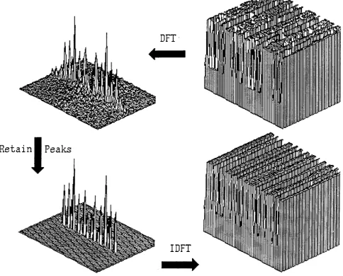 Figure 5. Reconstruction of Vertical Texture.