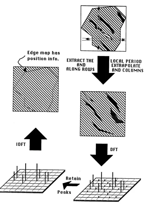 Figure 8. Ertrapolation and Selection.
