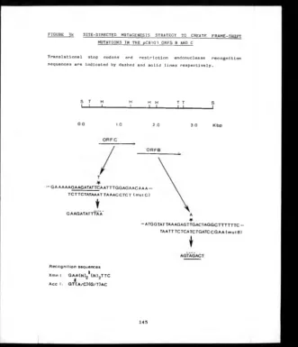 FIGURE 3k 