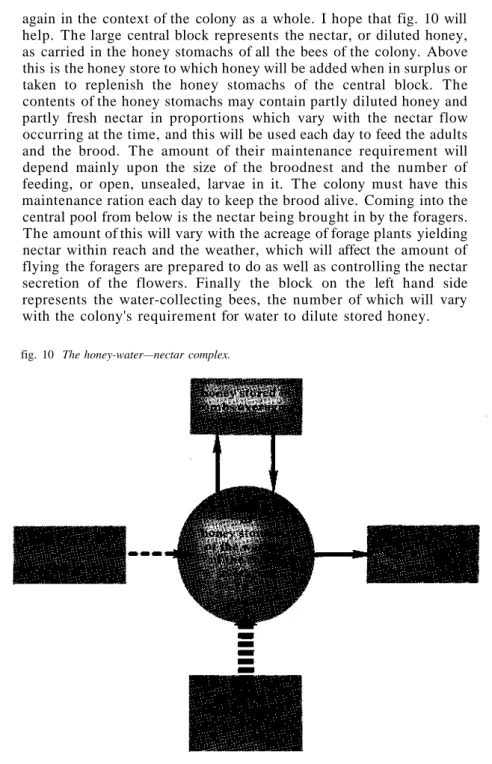 fig. 10 The honey-water—nectar complex. 