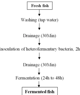 Figure 1. Schematic diagram for obtaining fermented Scomberomorus tritor. 