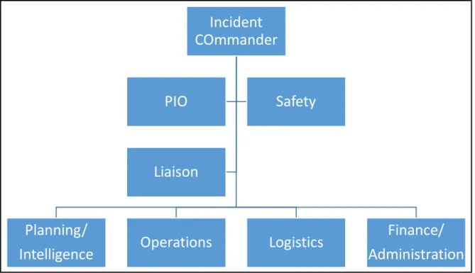 Figure 1.  ICS Organization Chart