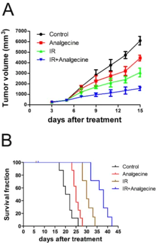 Figure 1: Analgecine in combination with IR inhibits tumor growth and enhances survival