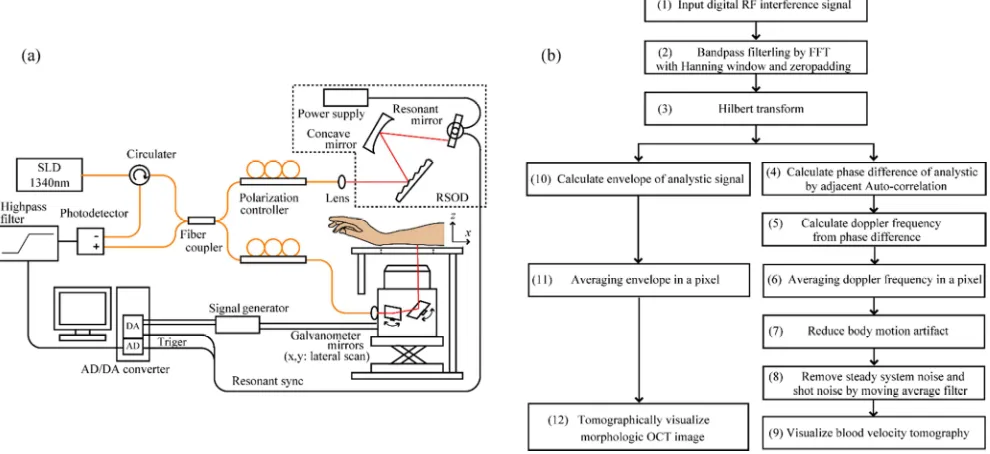 Figure 1. The schematic view (a) and the proposed OCDV algorithm (b) of Optical Coherence Doppler Velocigraphy (OCDV) system with single-pass Rapid Scanning Optical Delay line (RSOD)