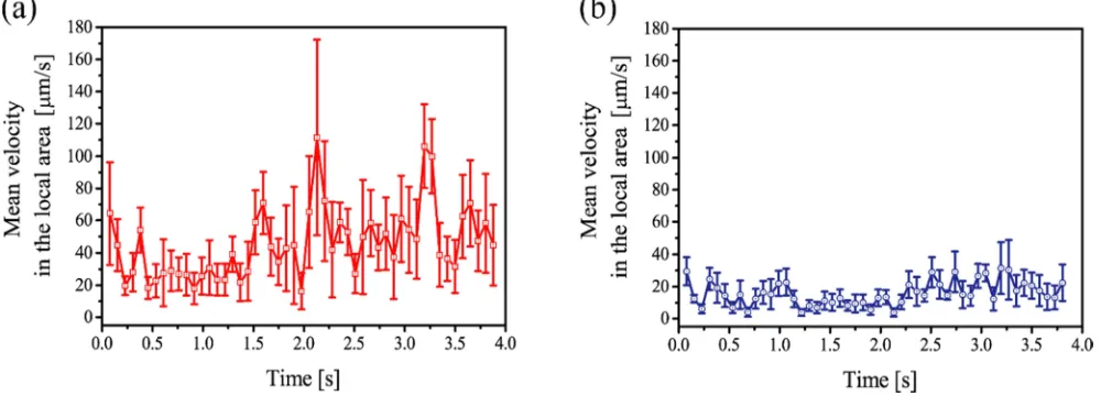 Figure 2. An example of tomographic image obtained by OCDV under the control condition; (a) Morphological OCT image, (b) Tomographic Distribution of instantaneous blood flow velocity overlapped by OCT image