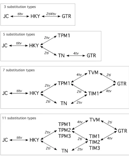 Figure 11. Possible LRTs for different substitution types according to the number of substitution  schemes specified (Figure 2)