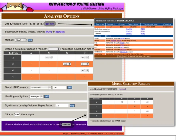 Figure 3 Analysis setup page