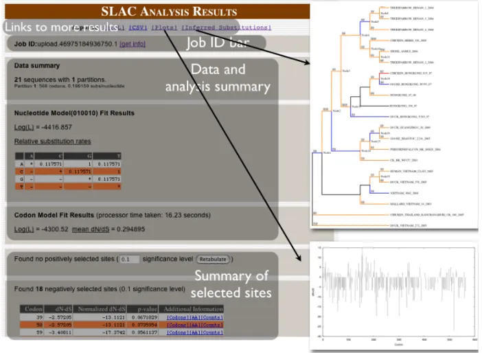 Figure 4 SLAC analysis results page