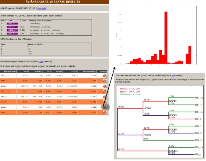 Figure 8 Lineage-specific selection in a two-patient HIV-1 envelope sample.