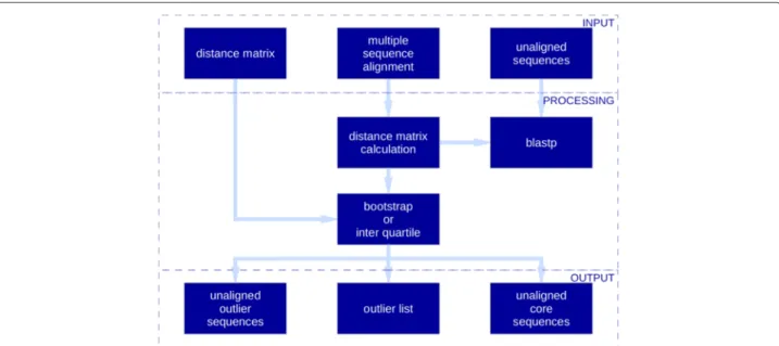 Fig. 1 Software flow chart. Infographic illustrating the workflow of OD-seq. At the input layer the user can provide a multiple sequence alignment, unaligned sequences or a pre-computed distance matrix