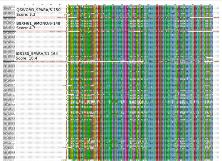 Fig. 8 Outlier example. Alignment of sequences of the Pfam family Paramyxo_NS_C (non-structural protein C)