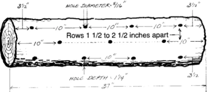 Figure 1.  One possible technique for preparing logs for inoculation