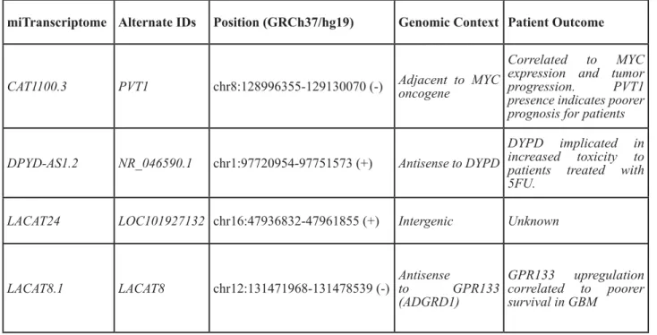 Table 4: miTranscriptome-defined LUAD lineage-specific lncRNAs