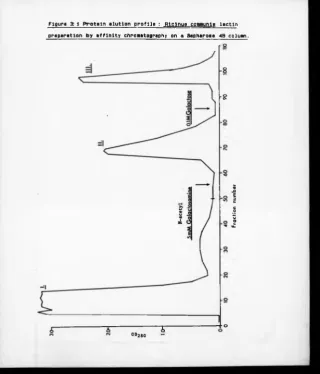 Figure 3: 1 Protein elution profile : Rlclnus coamunlB lectin 