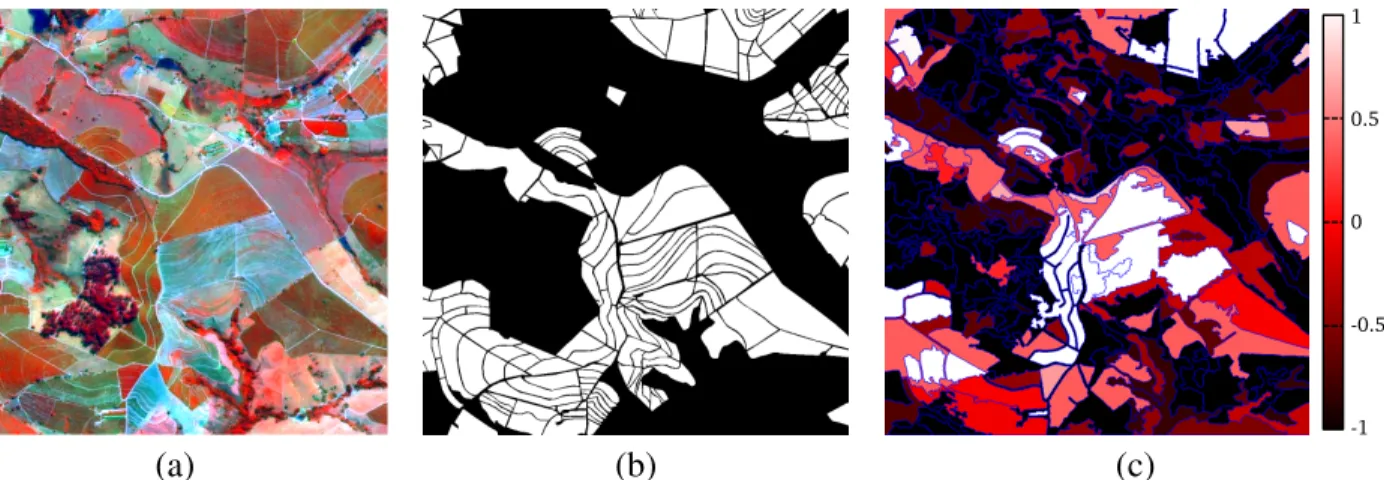 Fig. 4. Example of classification with different degrees of doubt: (a) original imagem, (b) ground truth and, (c) regions with different classification levels