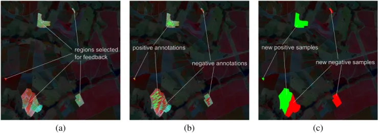 Fig. 5. Example of the process of regions annotation for user feedback: (a) regions selected for annotation; (b) user annotations, and (c) annotations converted into labelled pixels.