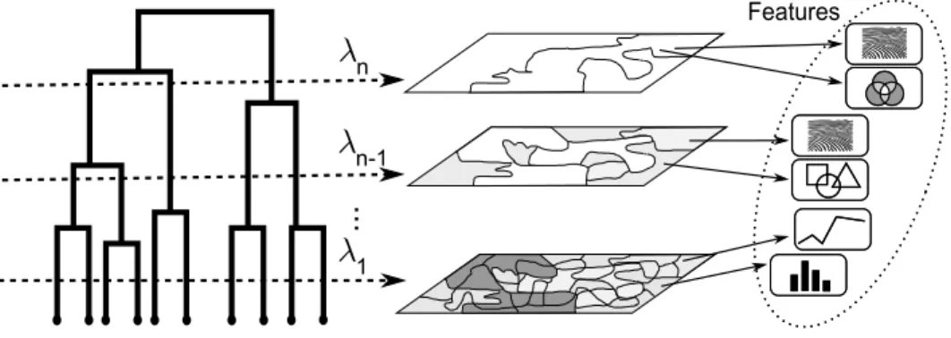 Fig. 2. Feature extraction. For each selected scale, a set of features is extracted from all regions.