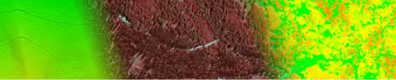 Figure	 18:	 Fixed‐wing	 UAV,	 built	 and	used	in	 NEWFOR‐project.	(www.bfw.ac.at);	 Fixed‐wing	 UAV	