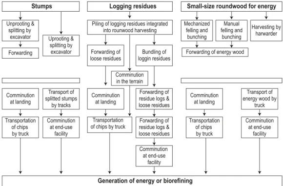 Figure 1. Overview of different setups of forest biomass supply chains dependent on the raw  material (Laitila 2006 edited by the author).