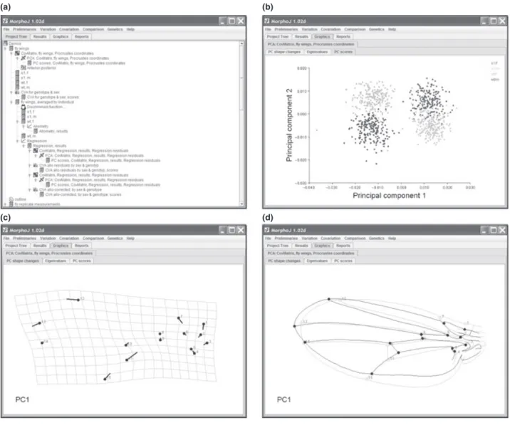 Fig. 1 User interface of the M ORPHO J software (shown here for the Windows XP platform)