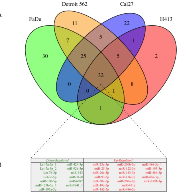 Figure 4:  (A) Venn diagram of differential exosomal miRNA cargo for each of 4 head and neck squamous cell carcinoma (HNSCC) cell  lines relative to those derived from primary non-pathologic oral epithelial control cells; numbers in each segment represent 