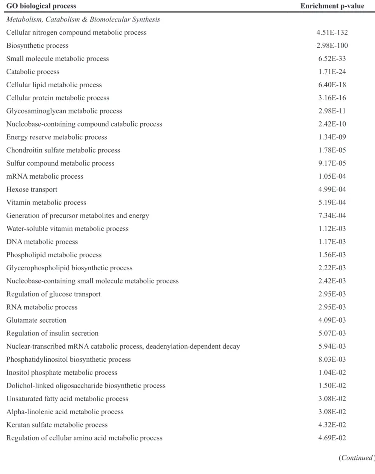 Table 2: Enrichment for biological processes related to metabolism, catabolism &amp; synthesis and immune function  among functionally validated targets of miRNA that were differentially secreted via exosomes across all 4 HNSCC  lines relative to those fro