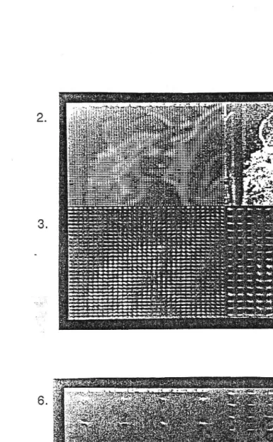 Figure 10: Complex magnitude values of spatial frequency vector space for levels 1 to 8 of "girl" descriptor