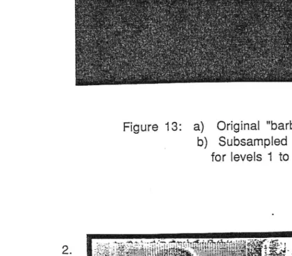 Figure 13: a) Original "barbara" image. b) Subsampled lowpass filtered images 