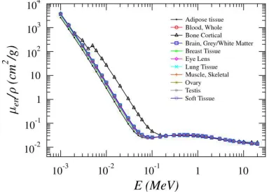 Fig. 1. The energy dependence of the mass energy absorption coefﬁcient, ��� �⁄ , of human tissues