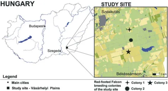 Fig. 1. Location of the study area within Hungary