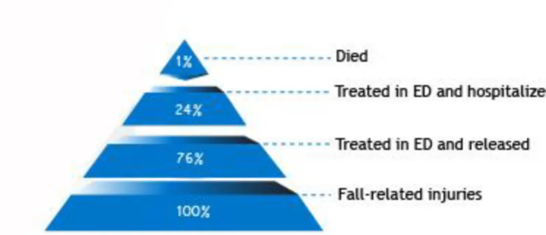 Diagram 2: risks of elderly falls 