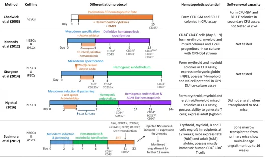 Fig. 1. Methods of pluripotent stem cell differentiation to hematopoietic stem and progenitor cells (HSPCs)