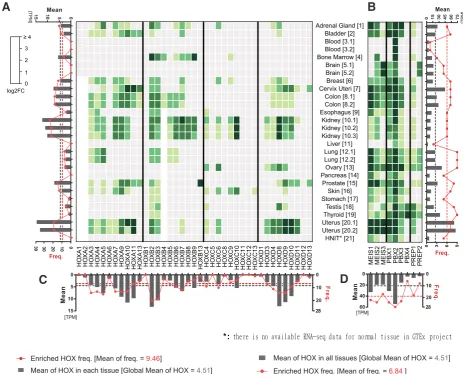 Fig. 1. HOX and TALE expression profiles in normal tissues. Expression profile is obtained from RNA-sequencing data performed in 21 different tissue types (see Table 1 for the full nomenclature), using TCGA and GTEx portals