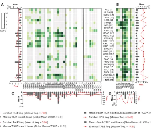 Fig. 3. HOX and TALE expression profiles in cancer tissues. Expression profile is obtained from RNA-sequencing data performed in 28 cancer types deriving from the 21 different tissues used in the Figure 1