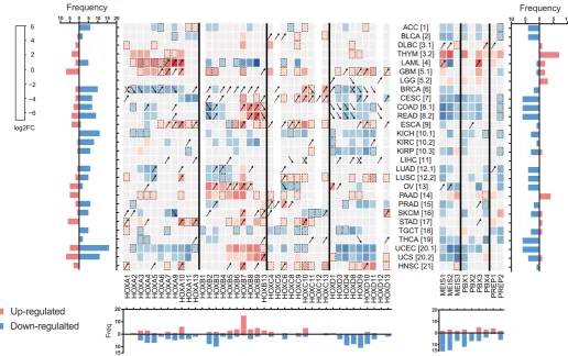 Fig. 5. HOX and TALE differential expression profiles between normal and cancer tissues